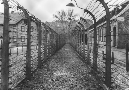 Fotografía en blanco y negro de un pasillo bordeado por alambrada en el campo de concentración de Auschwitz